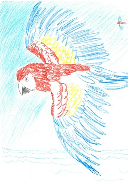 Мастерская детского творчества «Рисуем животных»