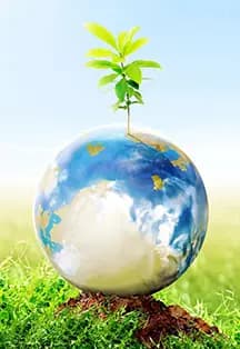 Вместе-ради будущего!