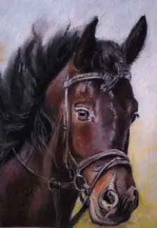 Путеводитель по мягким материалам для рисования. Мастер-класс