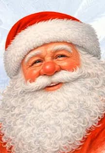 Тайна семьи Деда Мороза