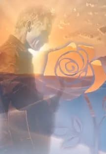 Хиты Sting с симфоническим оркестром: Desert Rose Symphony