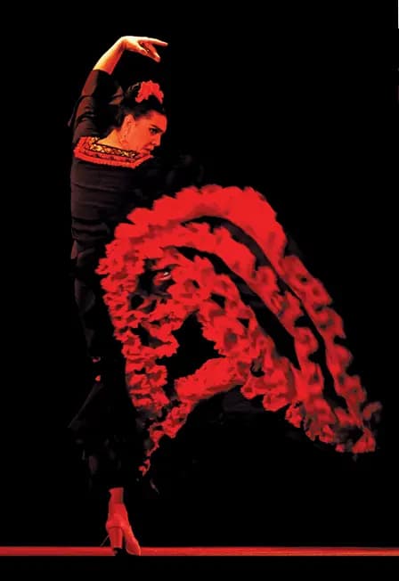 "ФРИДА" Спектакль-фламенко