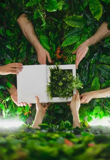 Сад наслаждений