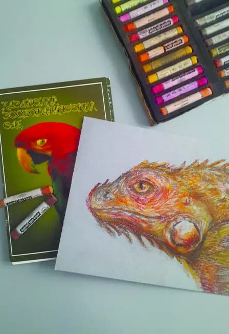 Игуана. Казанский Зооботсад. Мастер-класс