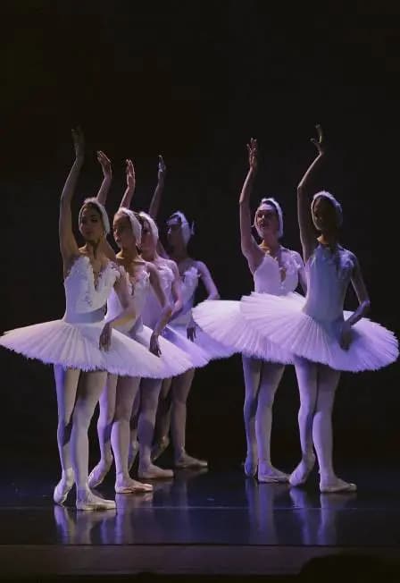 Балетный спектакль "Лебединое озеро"