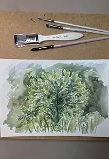 Акварельная зарисовка растений. Мастер-класс