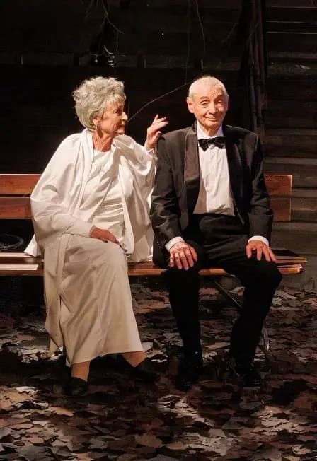 Клуб отчаянных оптимистов. Спектакль