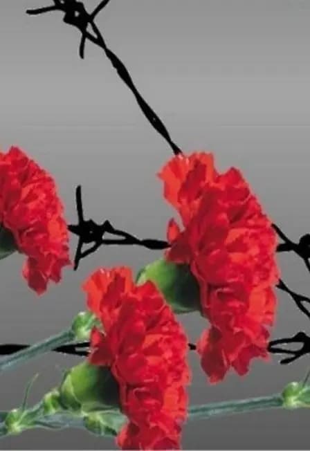 Международный день освобождения узников фашистских концлагерей. Час истории