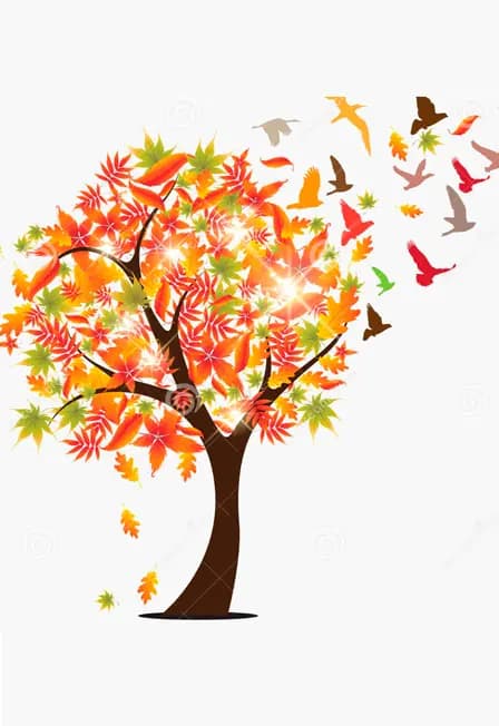 Интерактивный спектакль "Кот Котофеич и Чудо дерево"