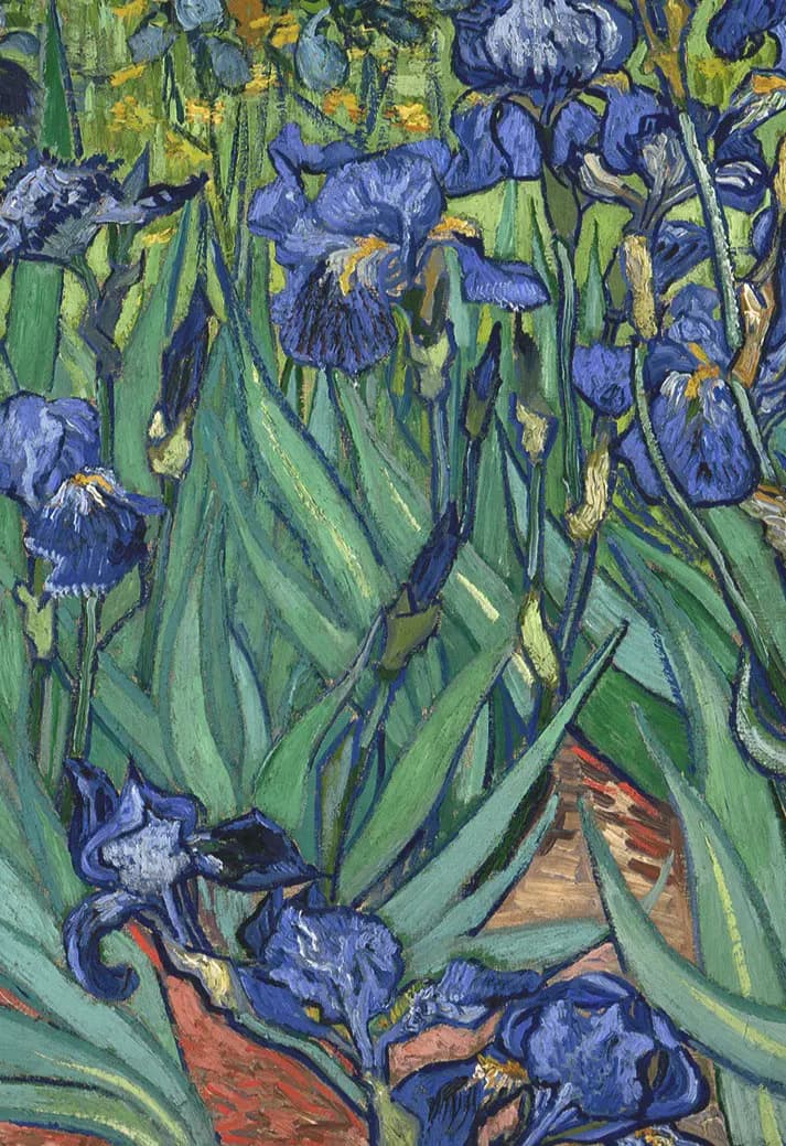 Мастер-класс по живописи «Ирисы Ван Гога»
