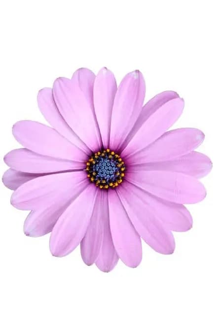 Весна в моём городе! ПРЕМЬЕРА!