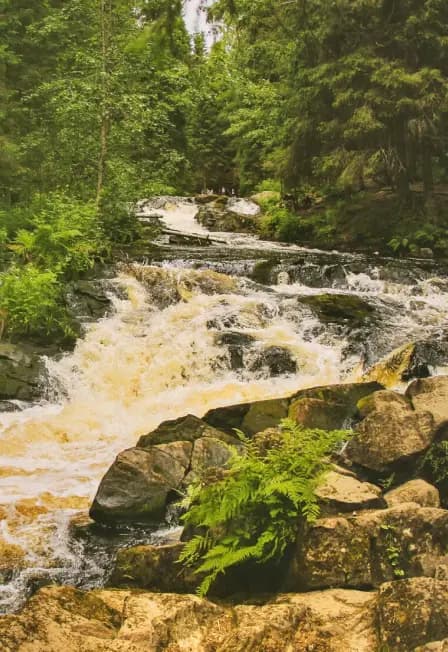 Природа Карелии: четыре водопада и круиз на ладье по Ладожским шхерам