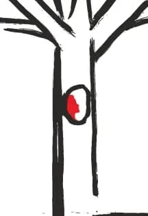 Дубровский