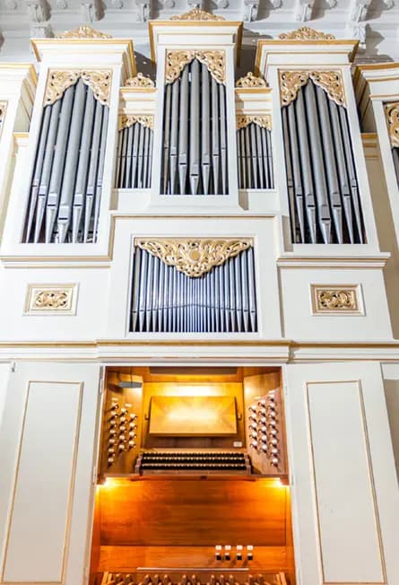 Концерт органиста Даниэля Сальвадора