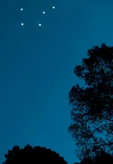 Майская ночь