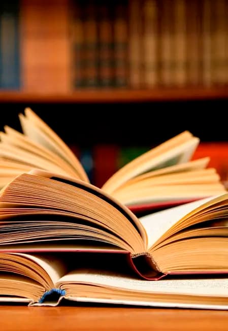 Игровая программа в международный день солидарности молодежи "Молодо-зелено"