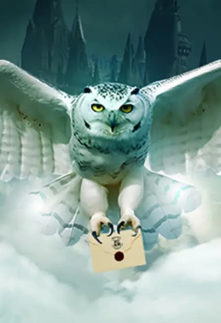 Гарри Поттер. Оркестр Sonorus