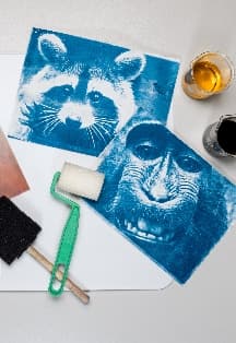 Фотография в синих тонах