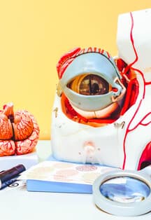 В поле зрения