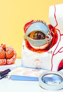 В поле зрения