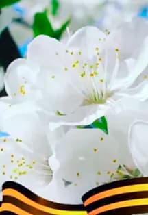 То, что деды отстояли, в нашем творчестве воспето. Концерт