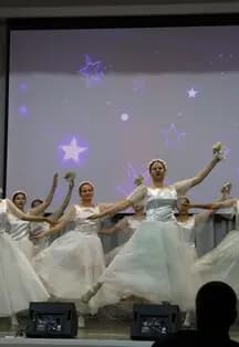 Дамы и господа. Программа