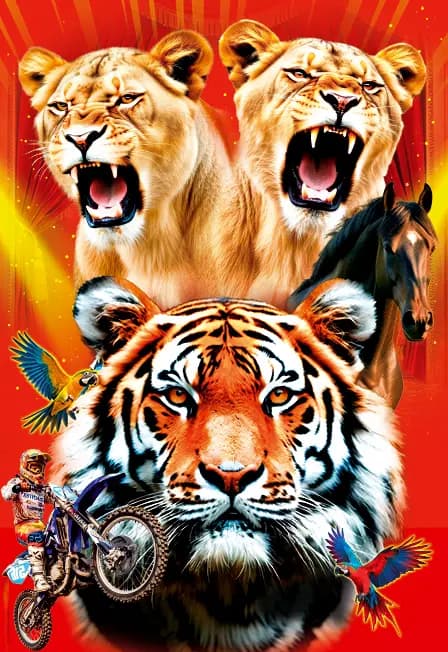 Цирк "Тигры среди Львиц" г.Пенза ТЦ "КОЛЛАЖ"