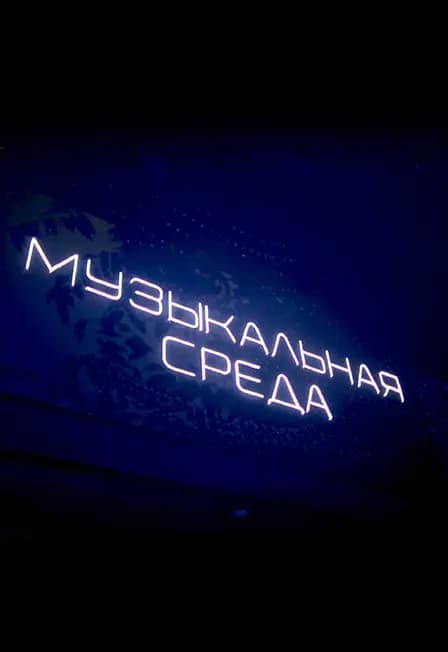 Музыкальная среда
