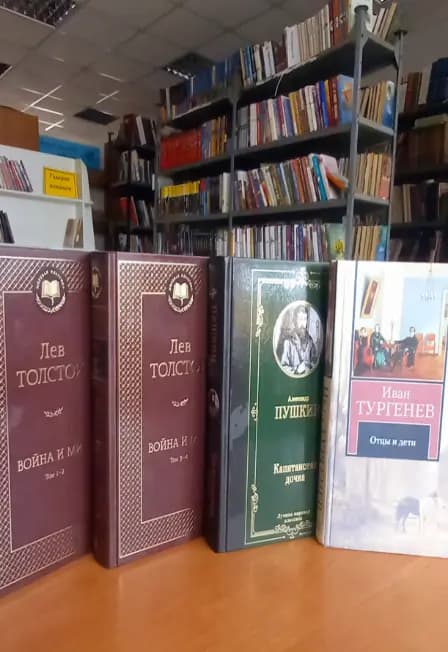 Через книгу к миру и согласию. Литературная гостиная