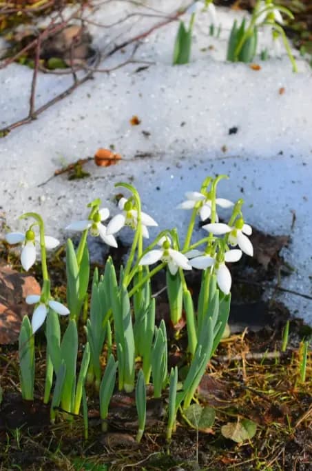 Улыбнись мне, Апрель!