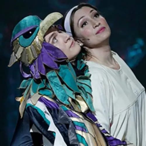 Финист ясный сокол