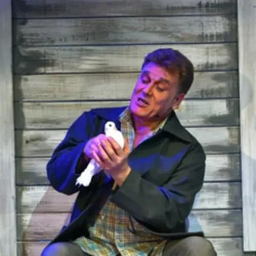 Любовь и голуби