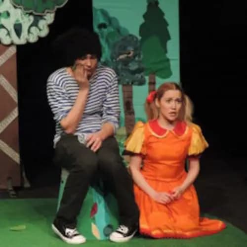 Цирк на поляне