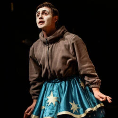 Двенадцатая ночь, или Как угодно