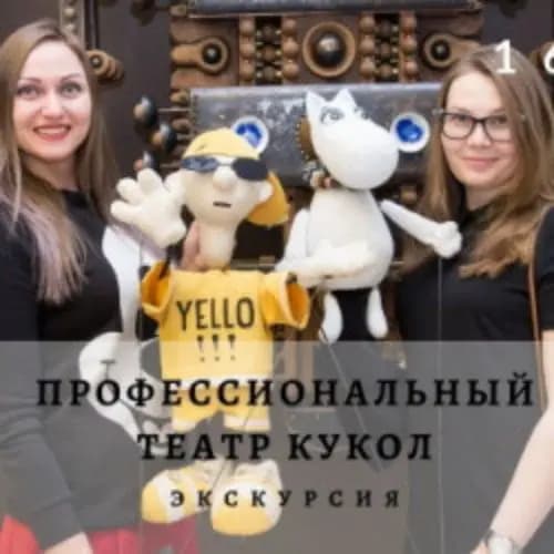 Профессиональный театр кукол