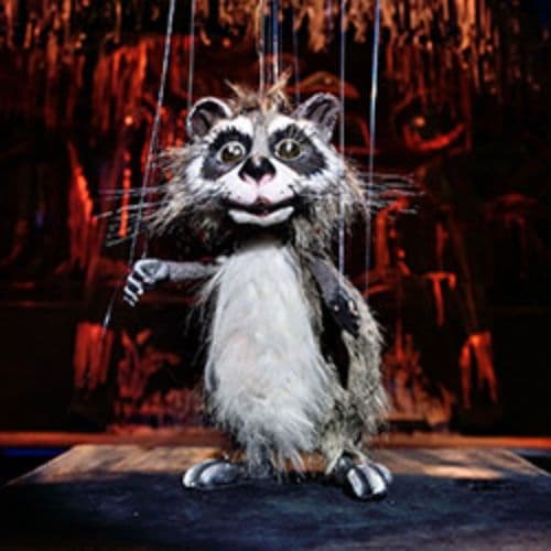 Крошка Енот