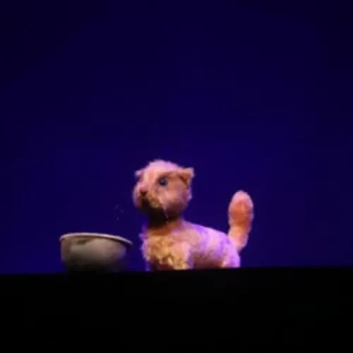 Письма победы