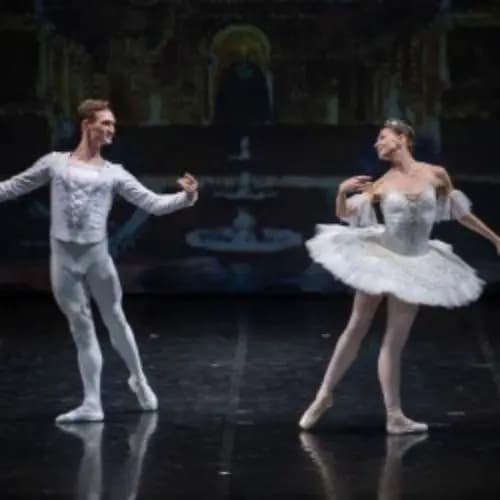 Спящая красавица (Sleeping Beauty)