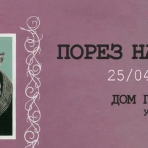 Порез на собаке