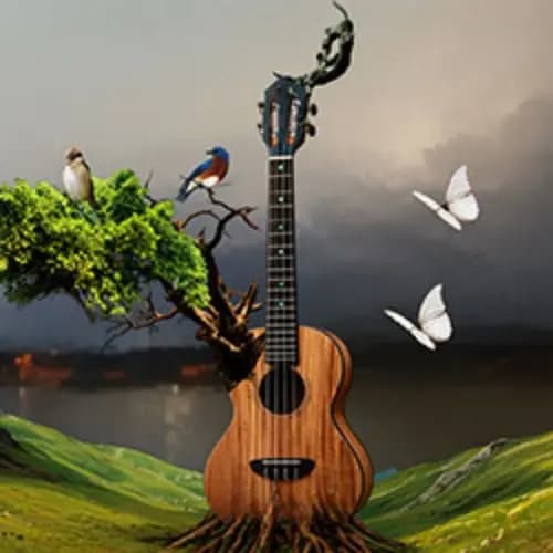 Первомайская акустика