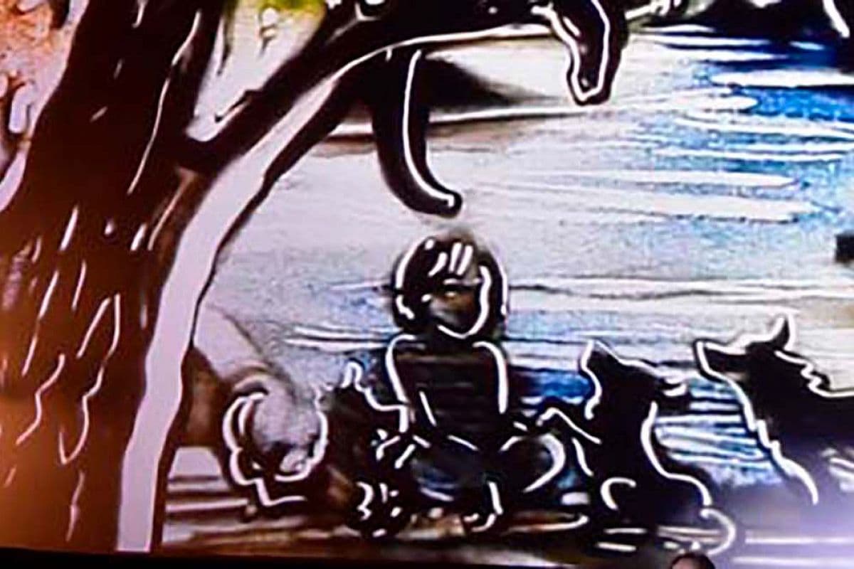 Сказка с органом и песочной анимацией. Маугли (Дарвиновский музей)