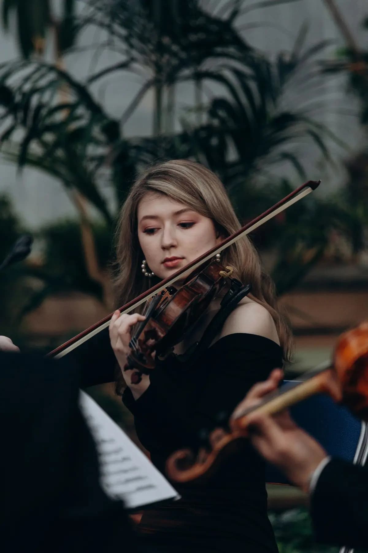 Магия свечей. «Времена года. Vivaldi vs Piazzolla» в Оранжерее