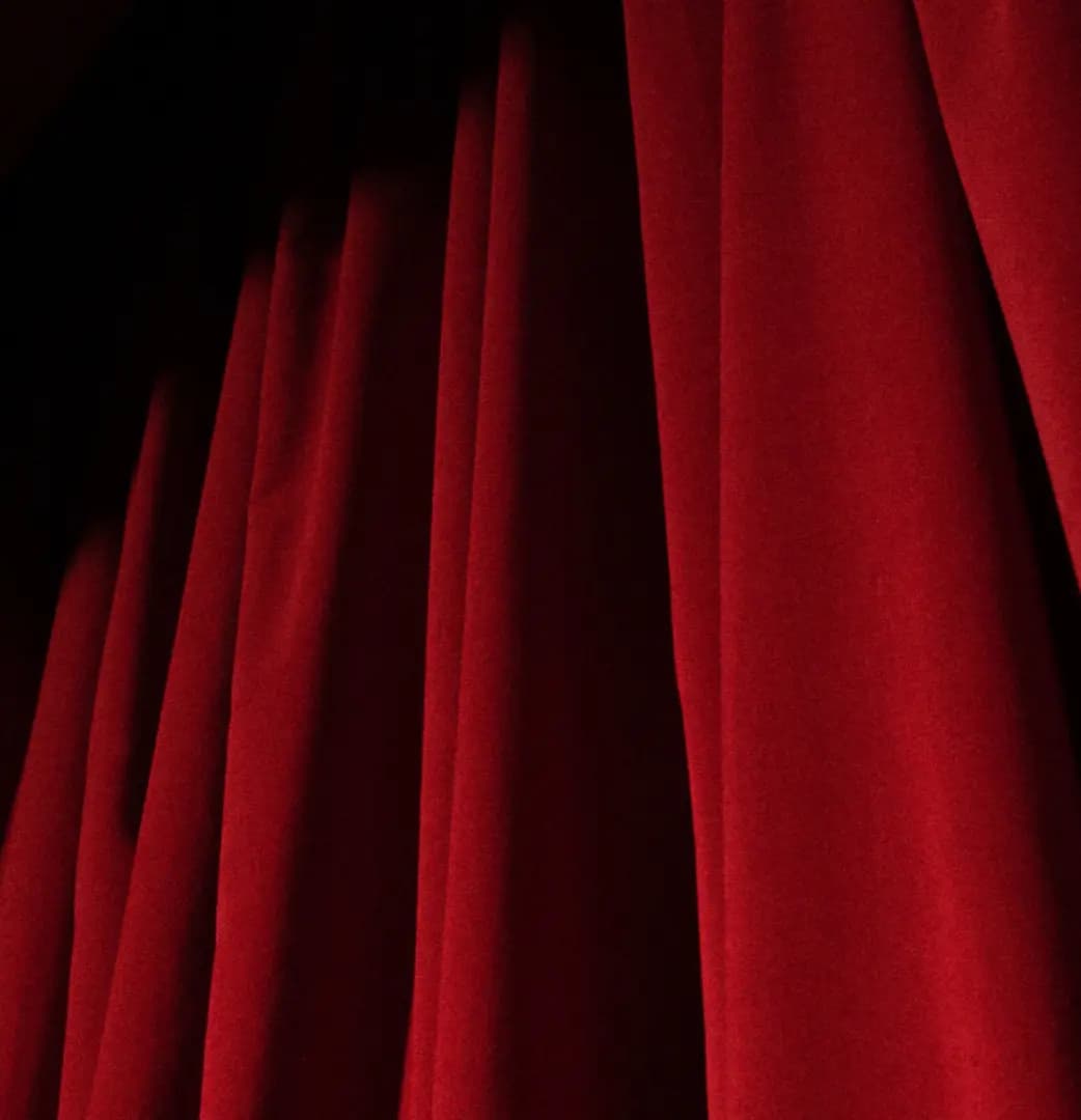 Камерный оркестр и Леонид Железный