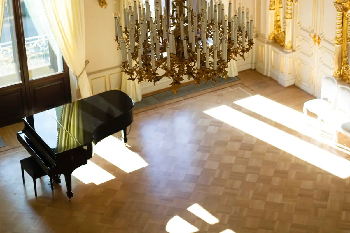 Магия скрипки и рояля (Особняк Мясникова)