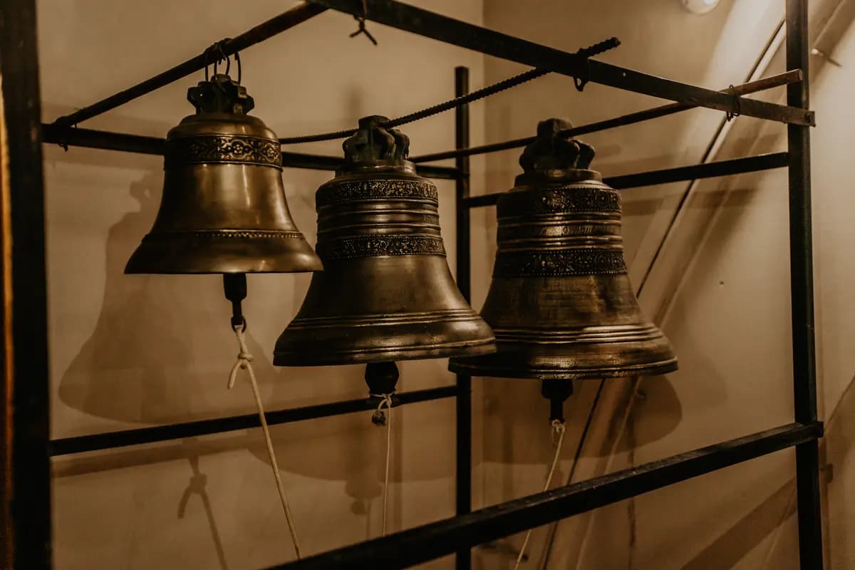 От скорби к Воскресению. Органный вечер (Храм Святого Людовика)