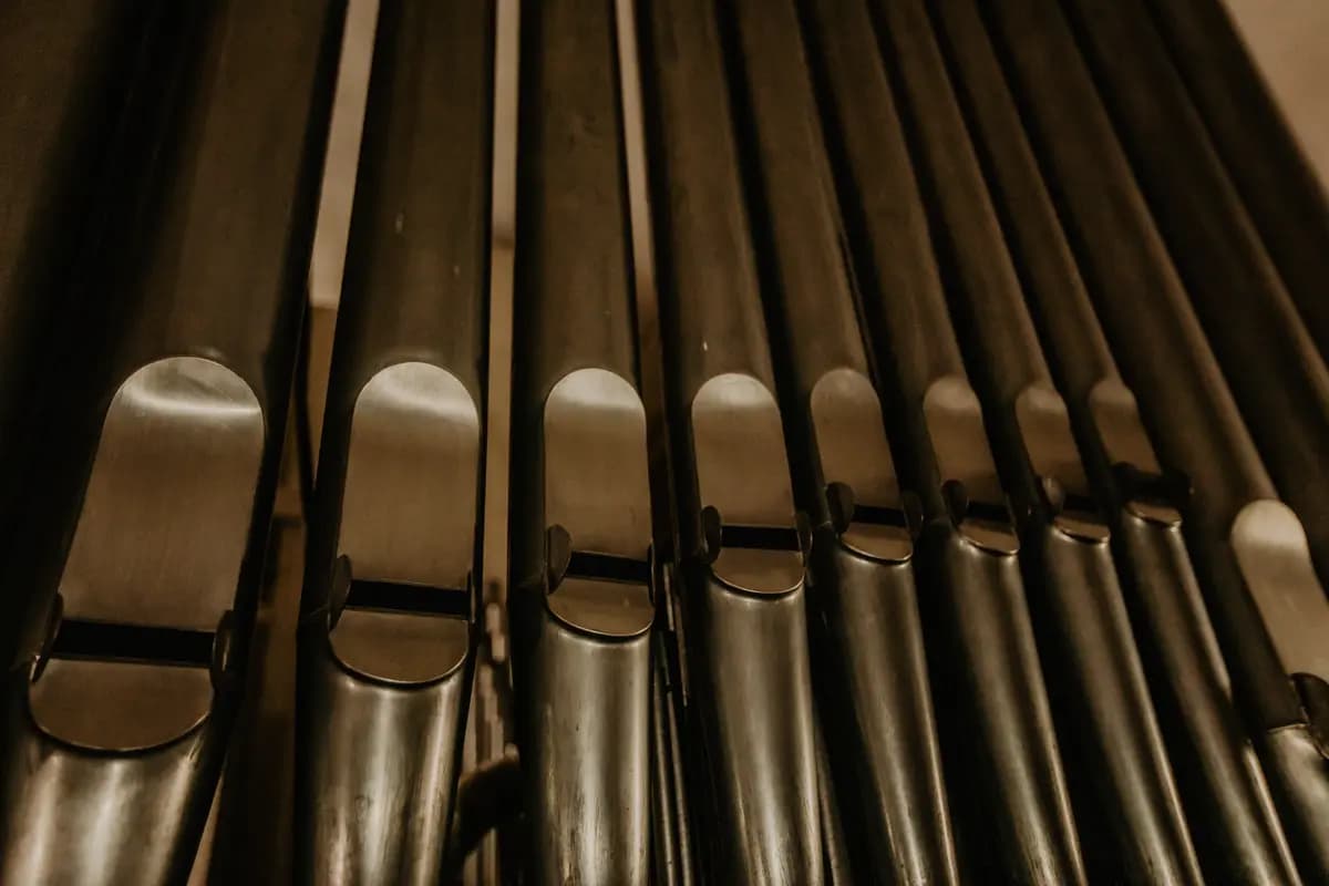 Орган и только орган (Храм Святого Людовика)