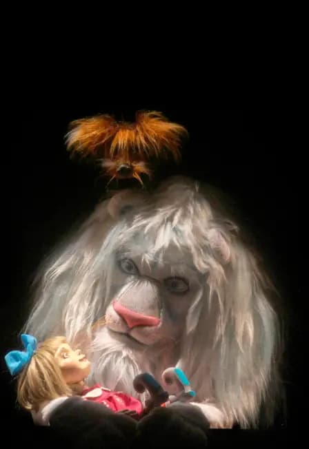 Изумрудный город. Путь домой