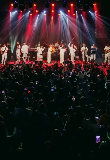 Sinteza Orchestra "Караоке с оркестром"