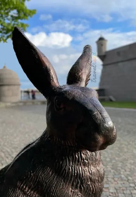 Петропавловка для детей: тайны крепости и загадочные зайцы