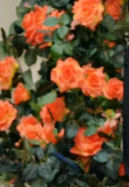 Тематическая программа «Русские народные инструменты»